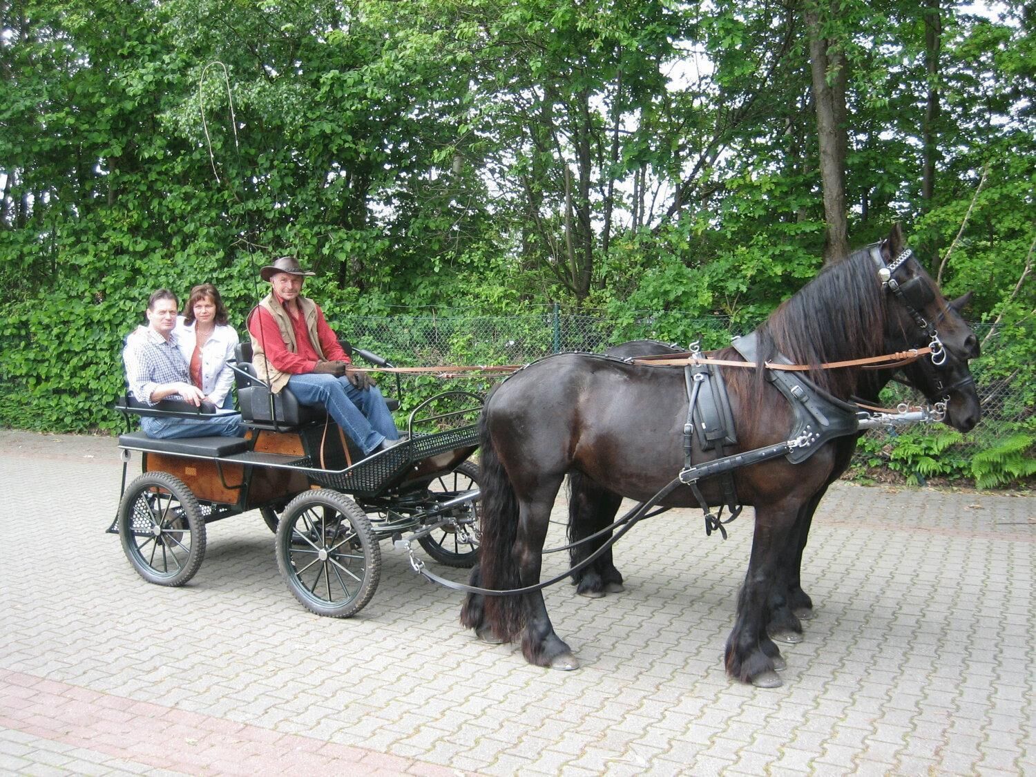 A horse-drawn carriage with three passengers, a cobblestone path, and lush greenery in the background.