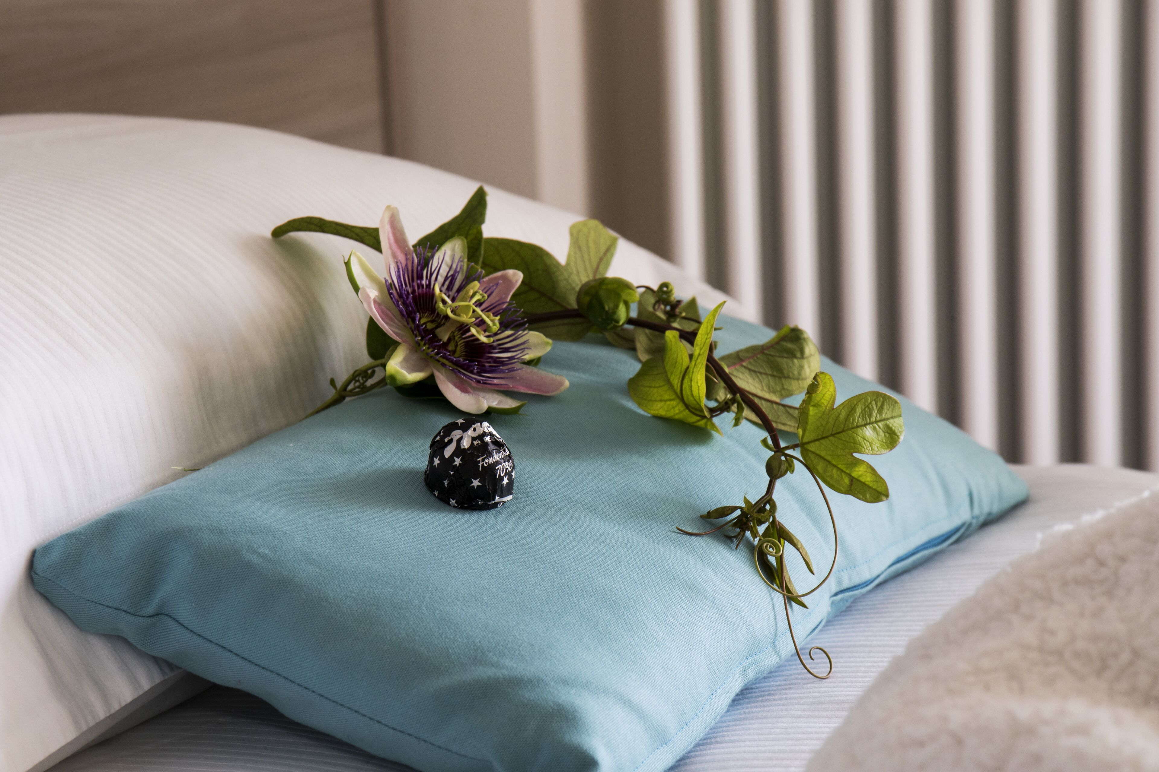 Photo - Casa Borgo Regina B&B Bari