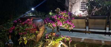Terraza o patio