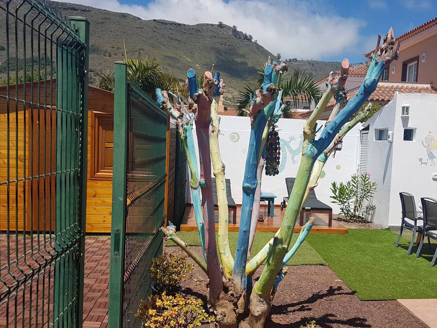 A courtyard with a cactus, outdoor seating, and a mountain backdrop.