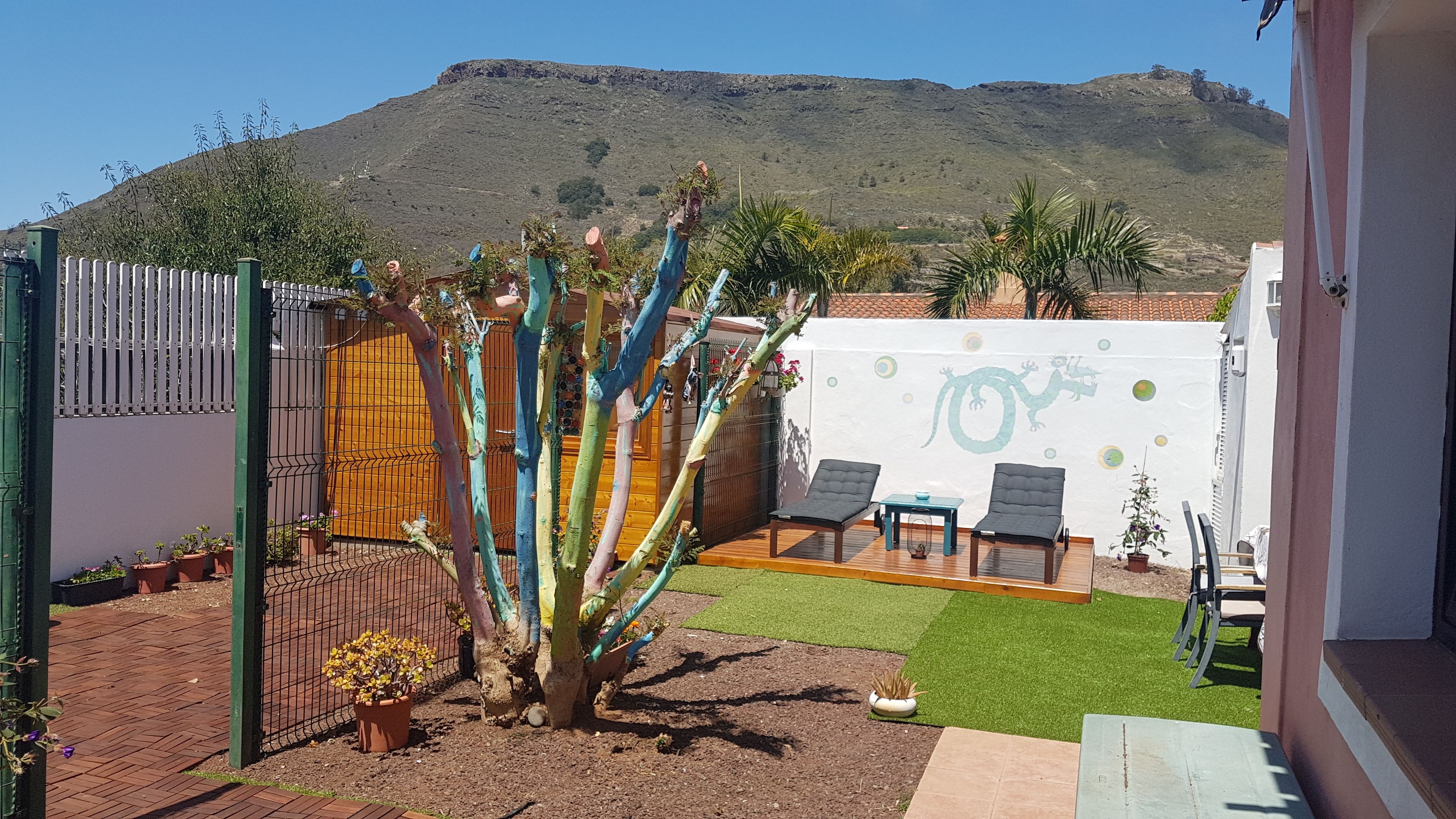 A patio with a cactus, chairs, and a table.