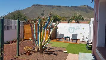 Une terrasse avec un cactus, des chaises et une table.