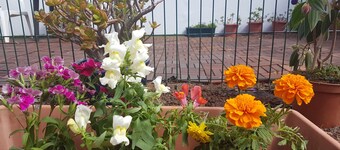 Chalet Anagato