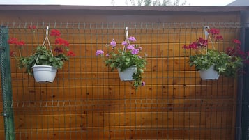Tres macetas blancas colgantes con flores rojas y moradas frente a una valla de madera.