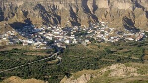 Property grounds - Posada los Guilos (Gorafe)