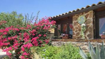 Área da propriedade