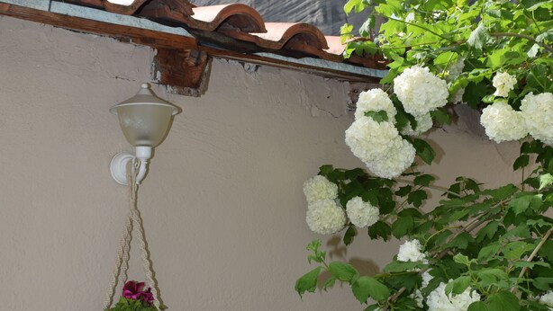 Una planta en maceta con flores blancas colgando de una pared, un colgador de macramé y una vista de la montaña al fondo.