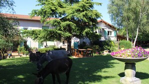 A horse grazing in a grassy area with a house in the background. - La Ferme de Capucine (Culhat)