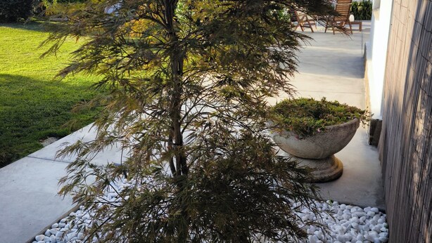 Un bâtiment moderne avec un petit arbre planté dans un parterre de gravier, un chemin en béton et un espace aménagé avec des chaises.