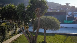 Un jardin bien entretenu, agrémenté de divers arbres, d’un chemin pavé et offrant une vue sur un quartier résidentiel en arrière-plan.
