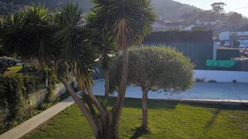 Área da propriedade