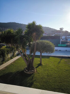 Área da propriedade