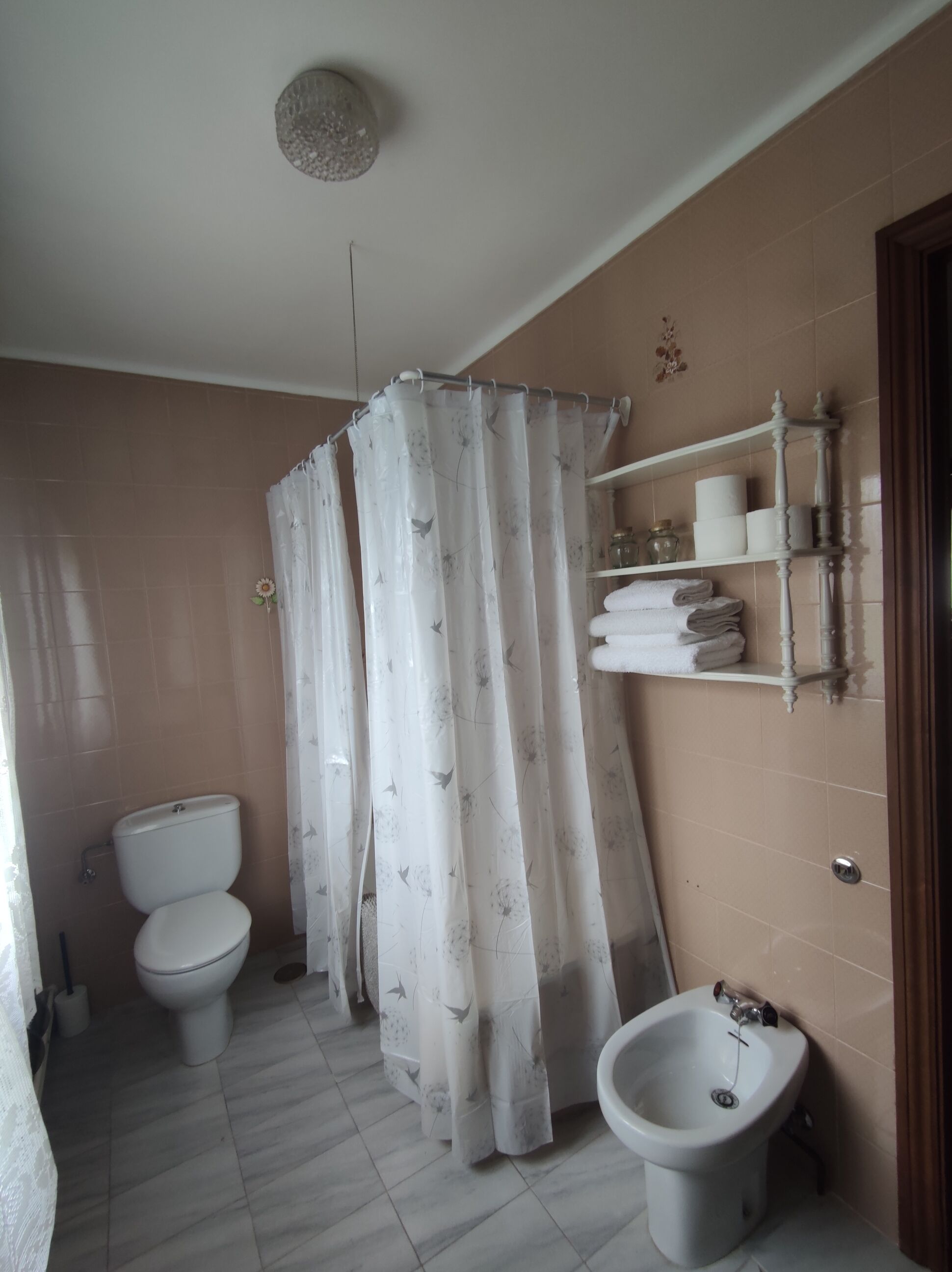 Une salle de bain équipée de toilettes, d’un bidet et d’un rideau de douche.