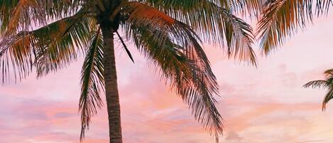 Beach nearby, sun-loungers, beach towels