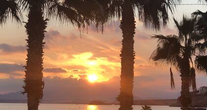 Beautifully presented Duplex House