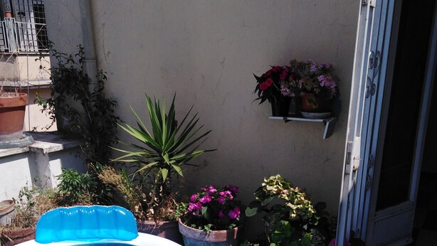 An inflatable pool with blue and white colors, surrounded by potted plants and flowers. - B&B Parioli Roma (Rome)