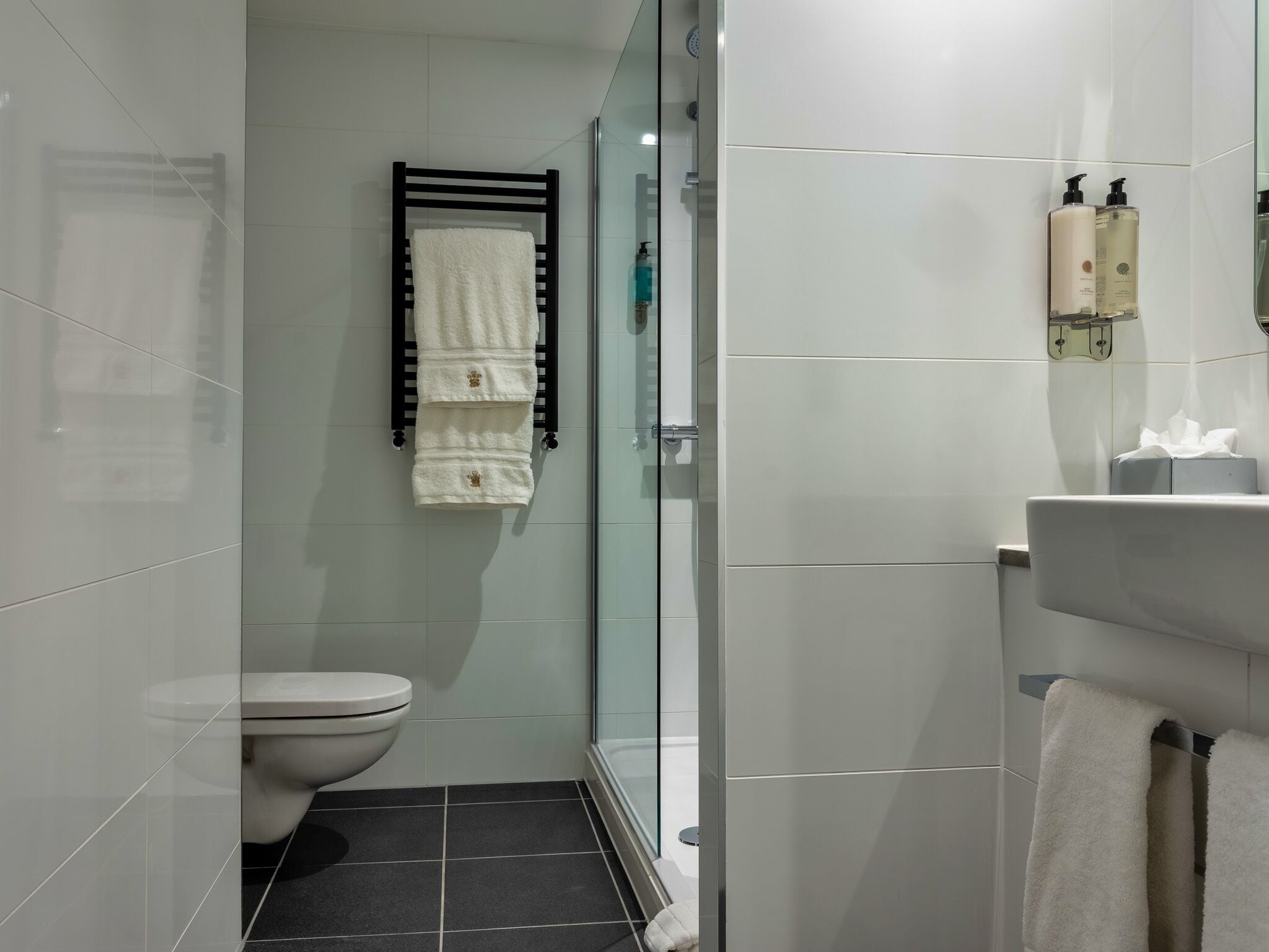 A modern bathroom with a toilet, a glass shower enclosure, and a sink with toiletries.
