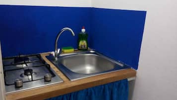 Appartamento panoramico, 1 camera da letto | Angolo cottura privato | Frigorifero, piano cottura, macchina per tè/caffè, bollitore elettrico