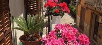 B&B La Terrazza