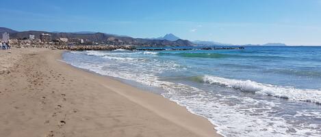 Playa en los alrededores y camastros 