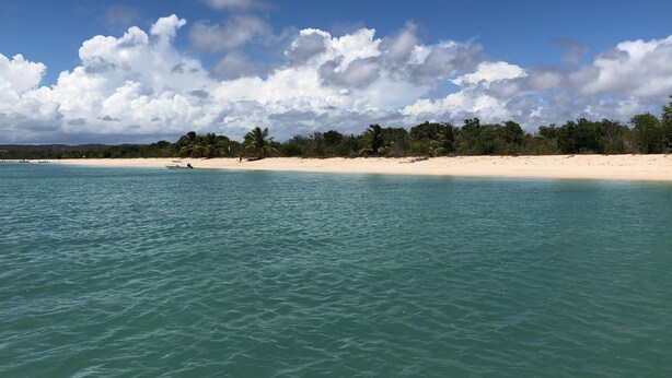 Une plage aux eaux turquoise et limpides, bordée d’un rivage sablonneux et d’une végétation tropicale luxuriante.