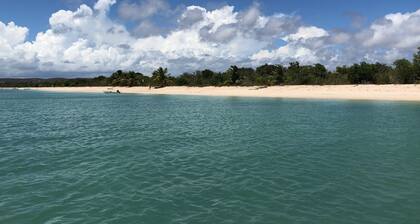 New pool and generator