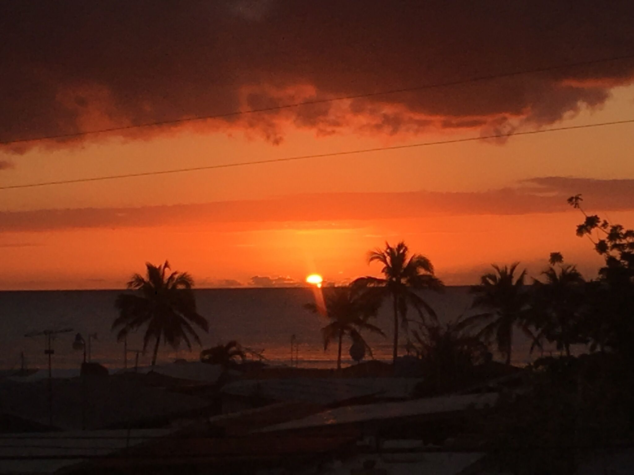 Un coucher de soleil sur une plage, avec des palmiers et un ciel dégagé.