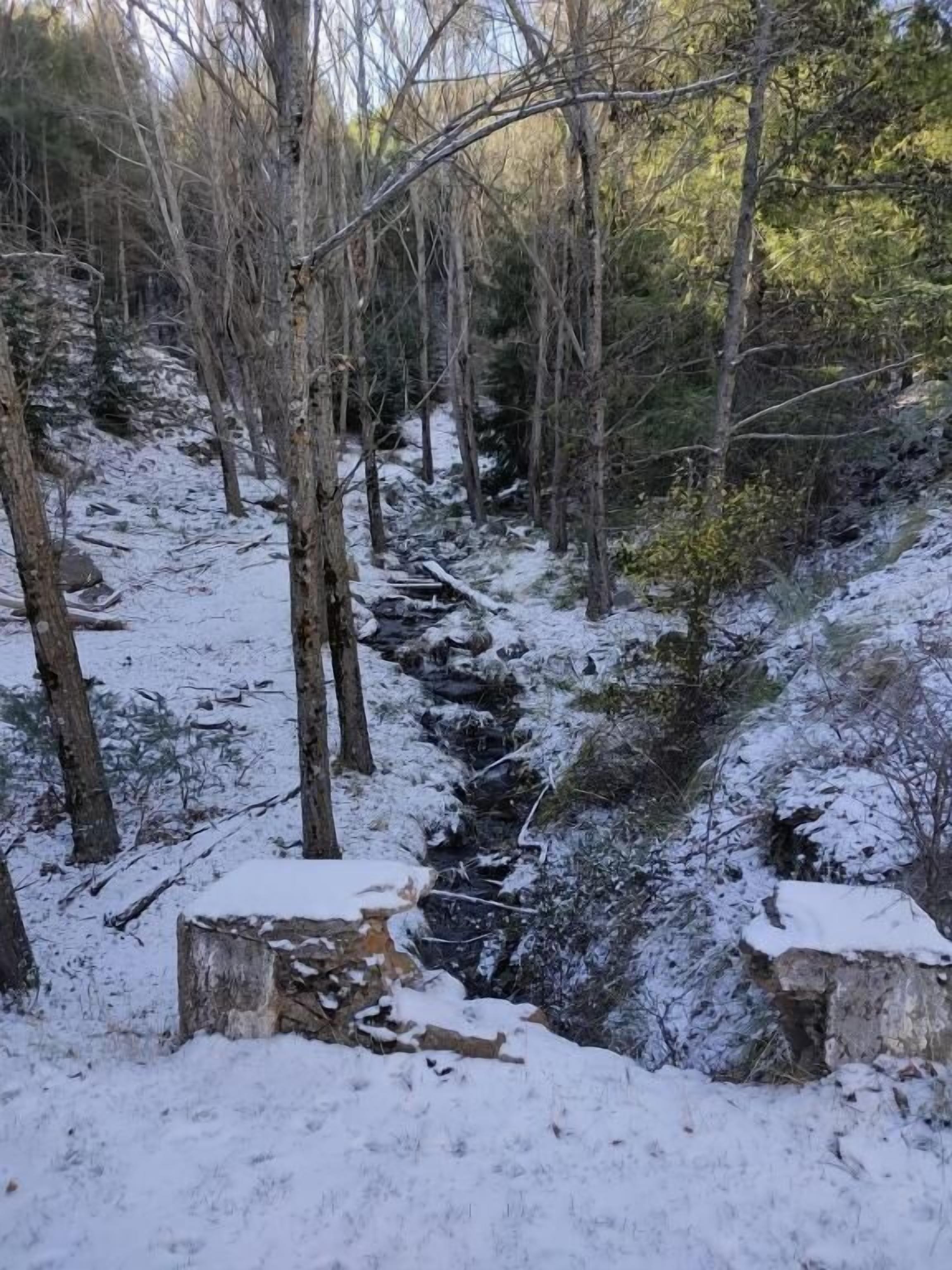 A snow-covered forest with a stream and a stone structure.