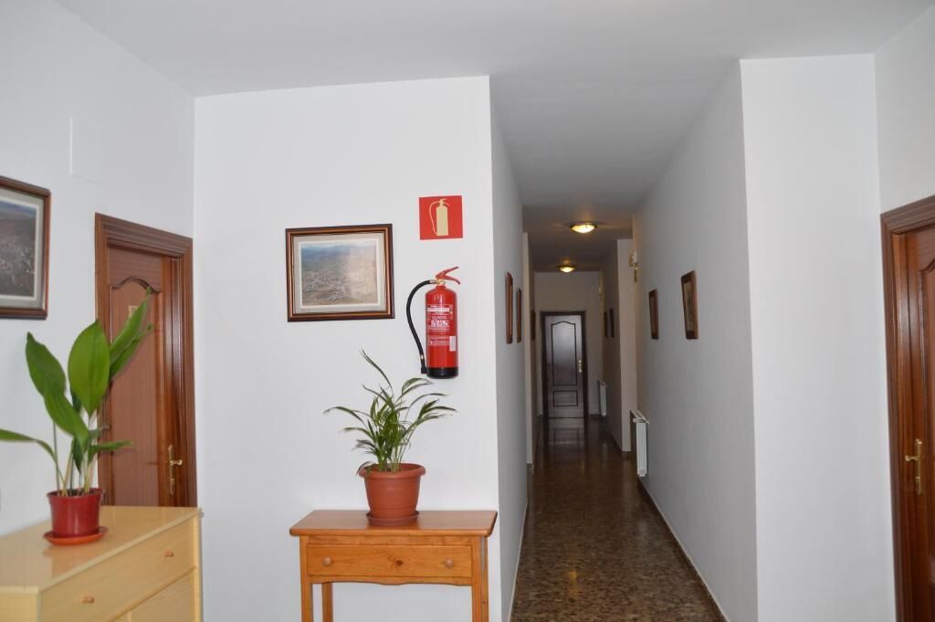 A hallway with a fire extinguisher mounted on the wall, a framed picture, and a potted plant on a small table.
