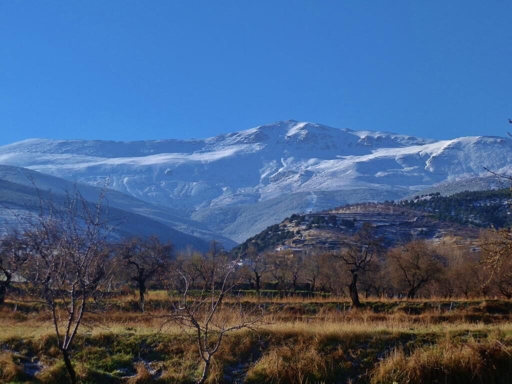 Khác