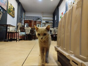 Reception - Taksim City ivy Hostel (Istanbul)