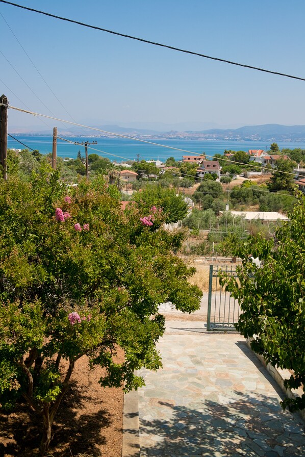 Property grounds - Joanna's house.Gorgeous Summer house with sea view (Dilesi)