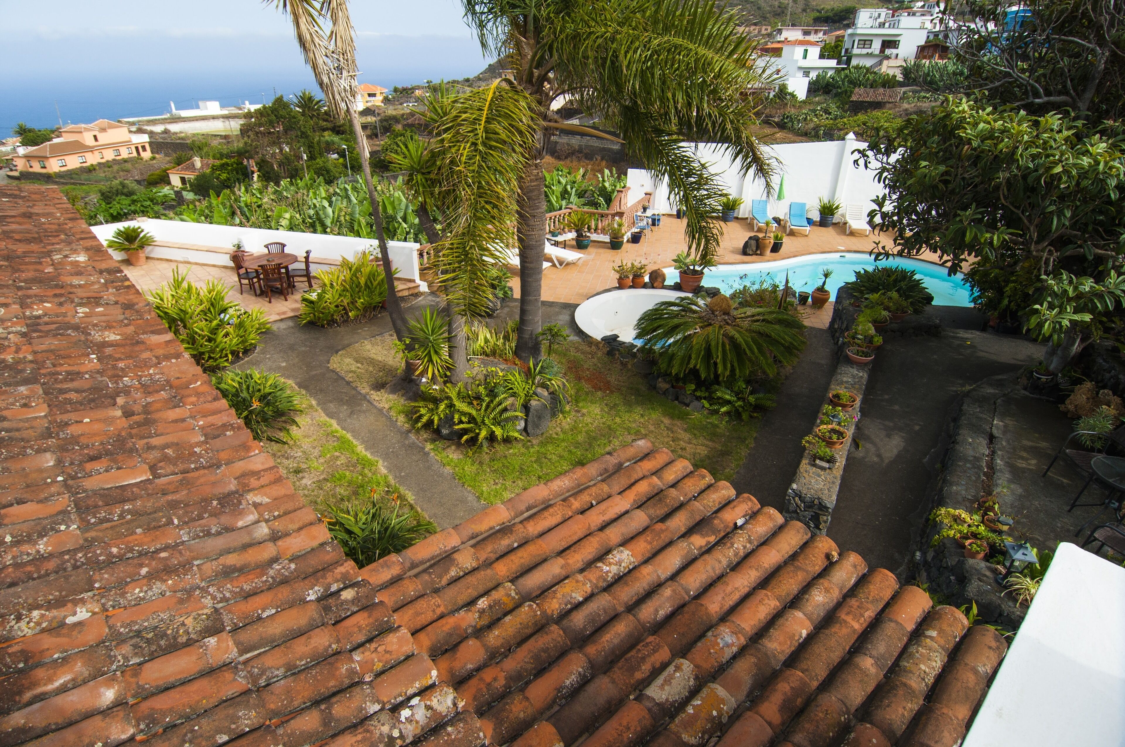 A rooftop terrace with a swimming pool, potted plants, and outdoor furniture.
