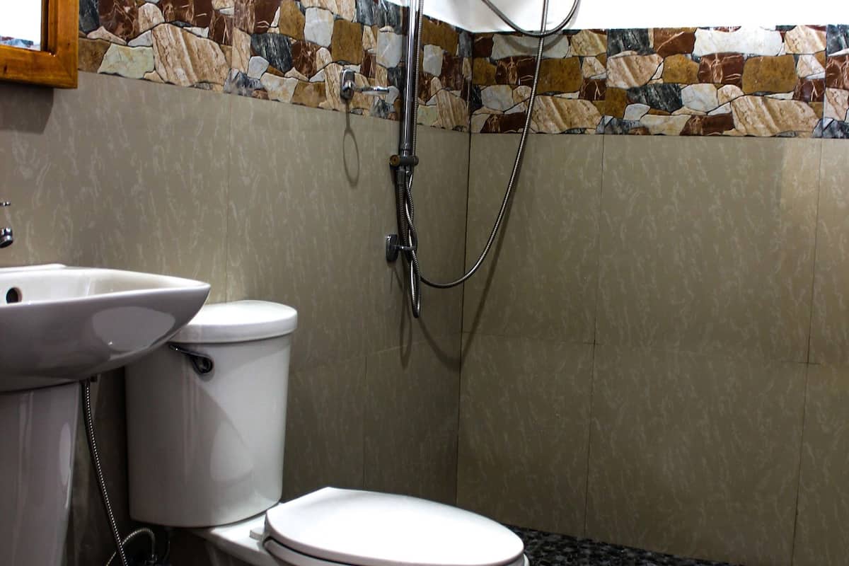 shower, free toiletries, bidet, towels