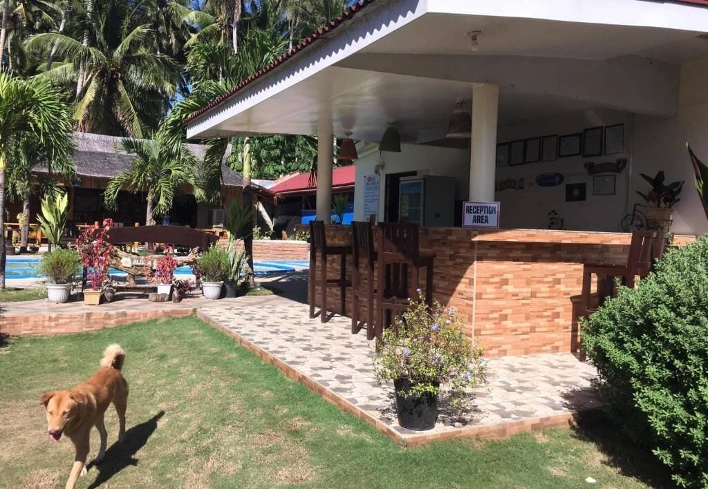 A reception area with a covered porch, a pool, and a dog in the foreground.