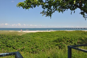 Property grounds - Skaerven Beachfront Condos and Cottage (Nyborg)