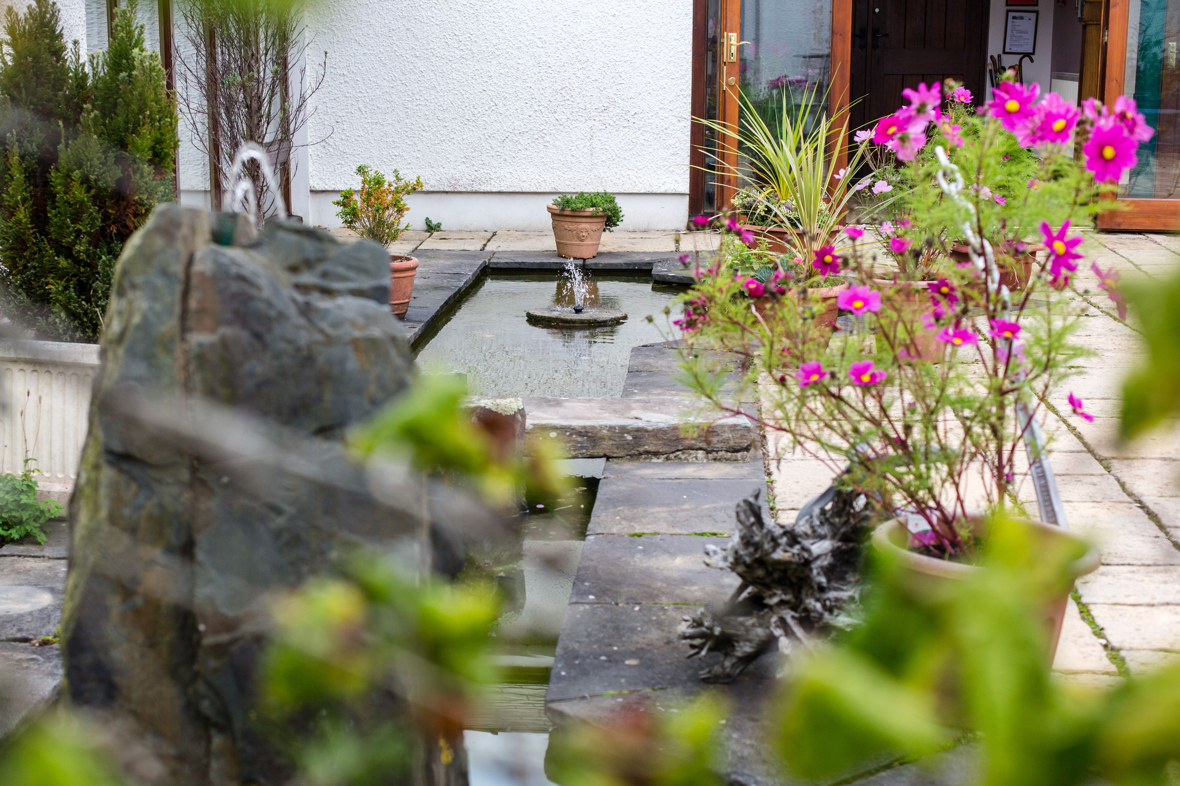 A garden with a fountain, potted plants, and a stone pathway.