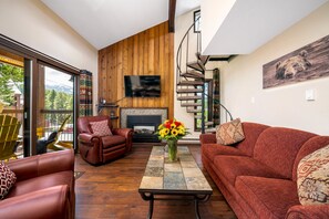 TV, fireplace, DVD player, books