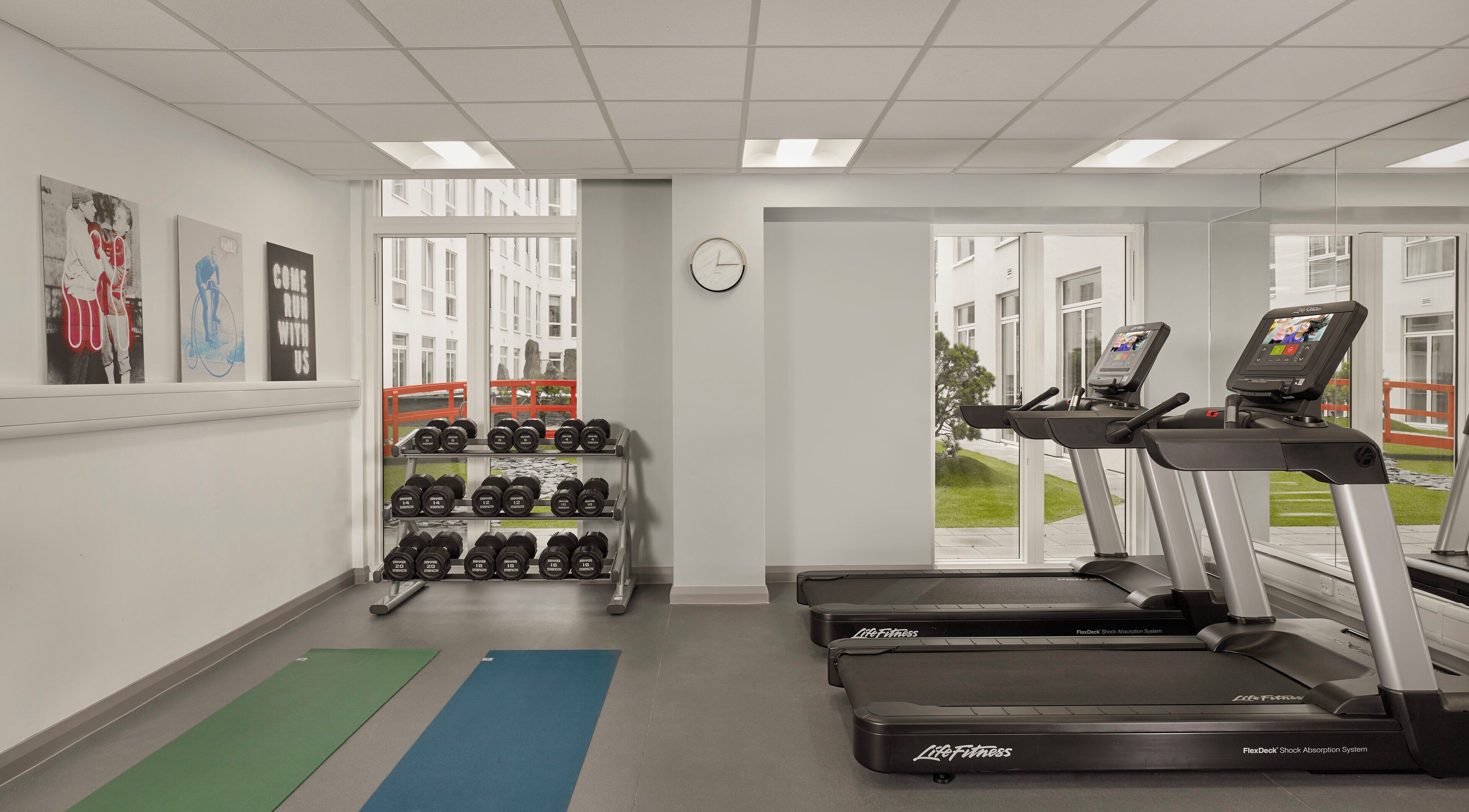 A gym with treadmills, dumbbells, and exercise mats.