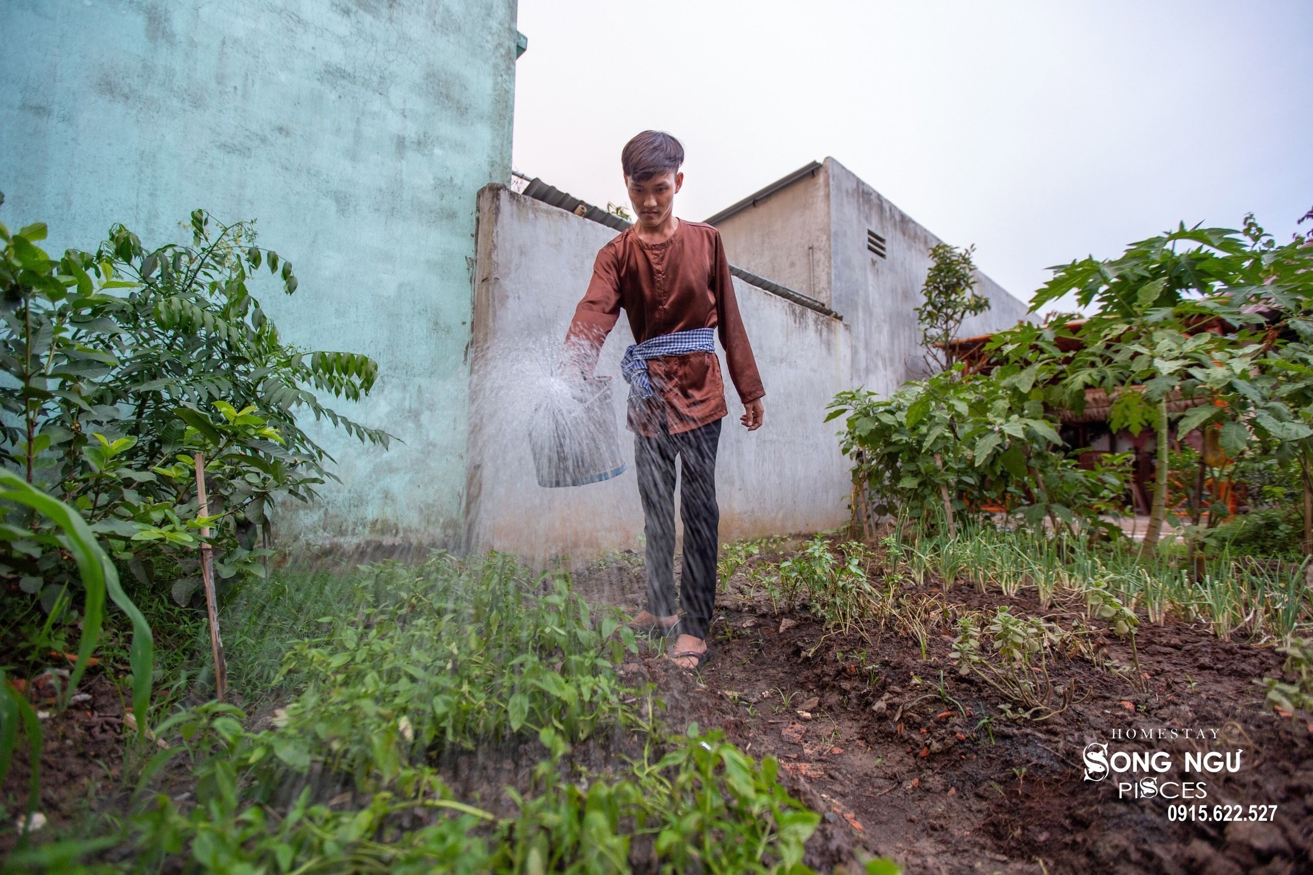 A person watering plants in a garden area with a building in the background.