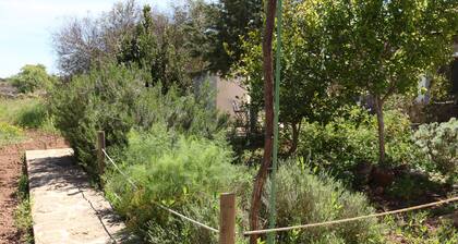 Viihtyisä, hiljainen ja miellyttävä maaseudun bungalow kauniilla ja maalaismaisella terassilla