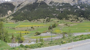 Eine bergige Landschaft mit Feldern und einer Straße.