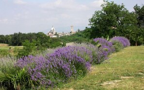 Vista desde la propiedad