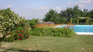 Un jardin avec une piscine, différentes sortes de fleurs et un bâtiment en arrière-plan.