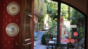 Un pati amb taula i cadires, un gat i plantes en testos.