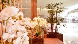 A modern interior with a seating area, potted plants, and a large window. - Forte Express (Macapa)