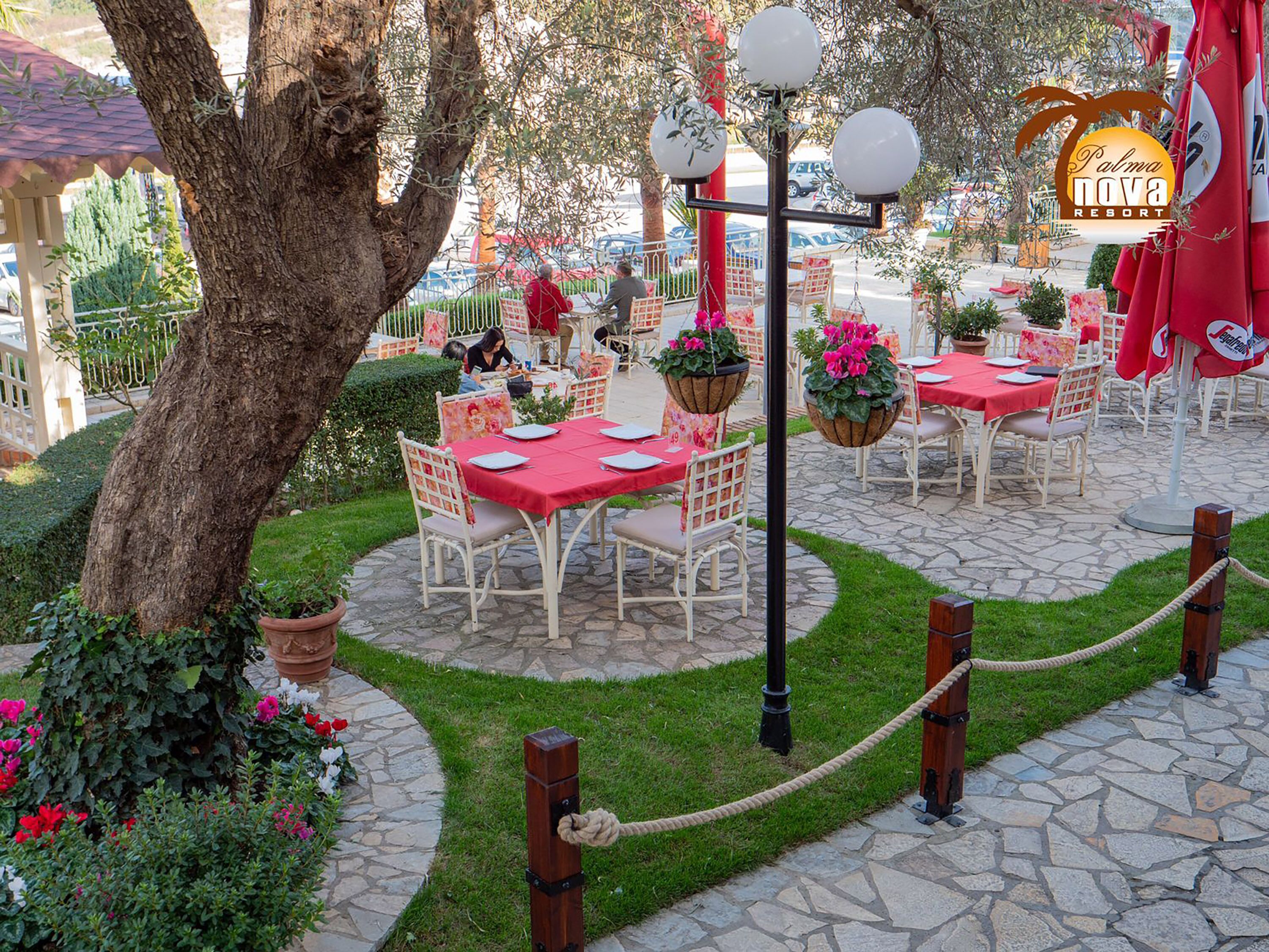 Foto - PalmaNova Resort