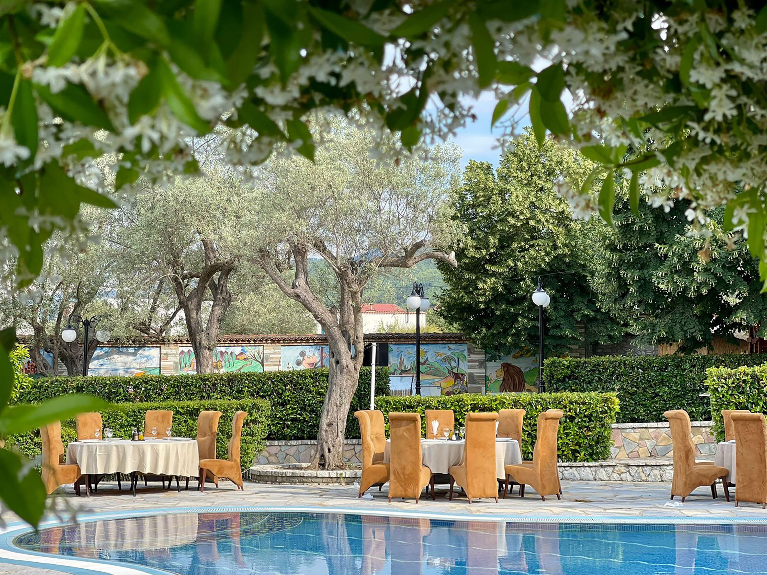 Foto - PalmaNova Resort