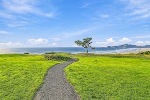 A coastal path with a single tree, leading to a beach with distant hills. - Panoramic Pacific Views at this 2nd floor luxury oceanfront condo, beach access (Newport)