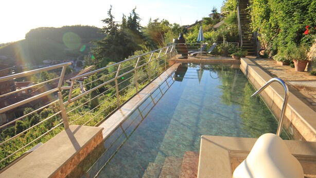 Piscina cristalina con barandilla metálica, rodeada de plantas en macetas y una escalera que lleva a un nivel superior.